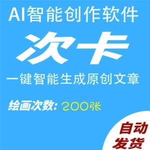 AI智能绘画200次卡AI自动生成原创图画，更有体验编程代码小说演讲总结问答生成器