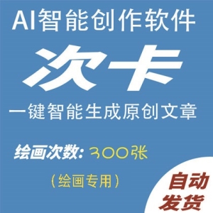 AI智能绘画300次卡AI自动生成原创图画，更有体验编程代码小说演讲总结问答生成器